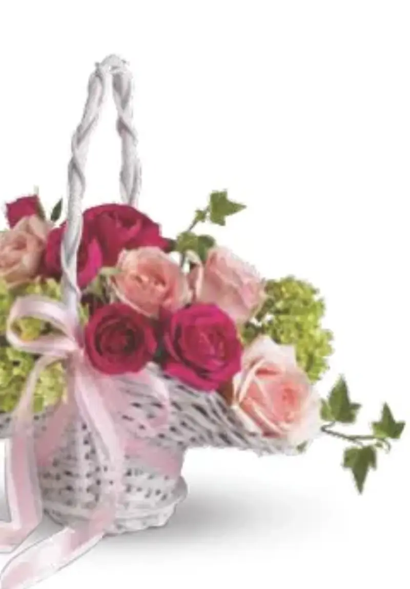 Always In Bloom Flowers & Frames