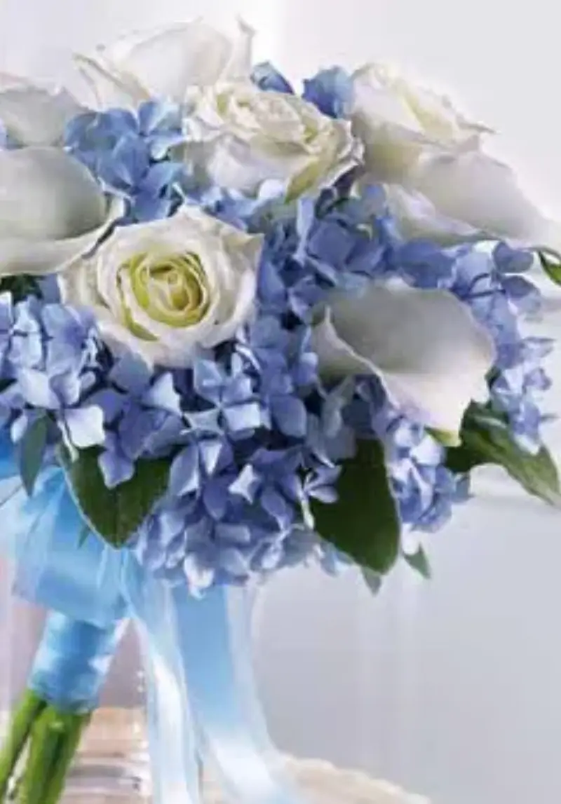 Company's Coming Florist