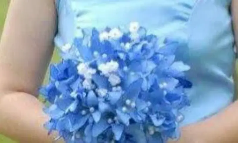 DiyDiva Flowers