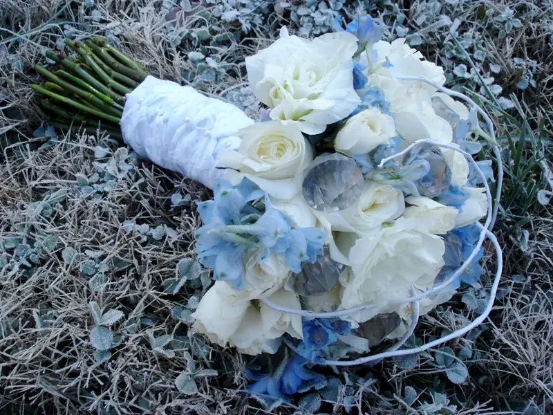 Leslie Ivey Designs