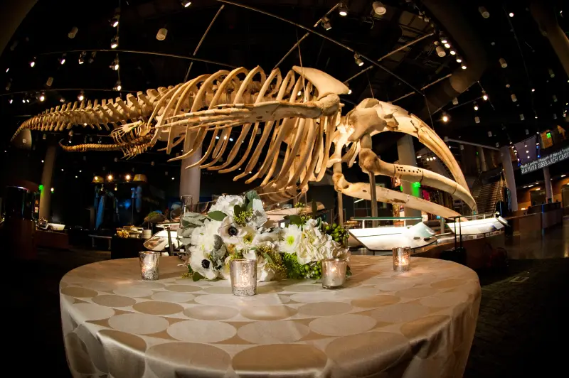 North Carolina Museum of Natural Sciences