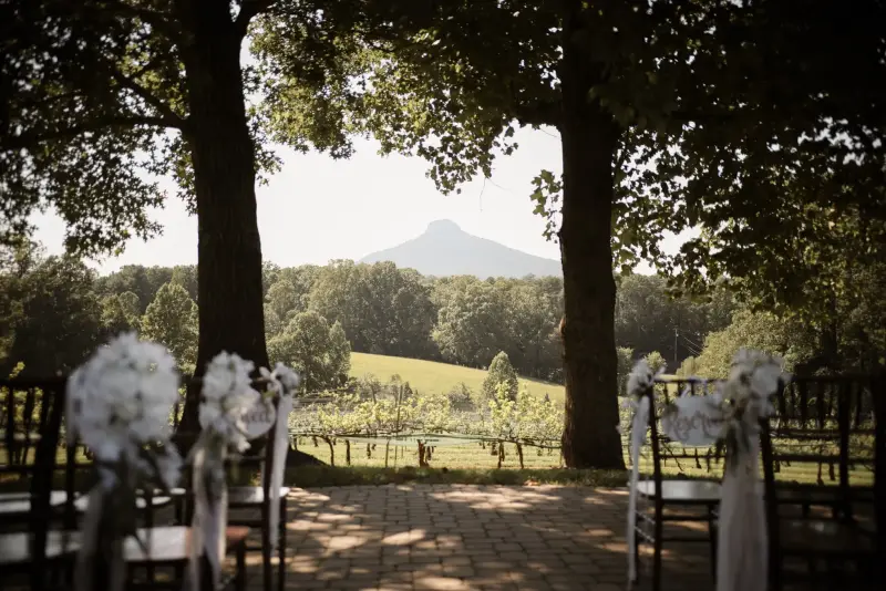 Pilot Mountain Vineyards